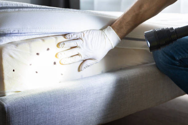 Best Pest Control Treatment  in Gregory, TX
