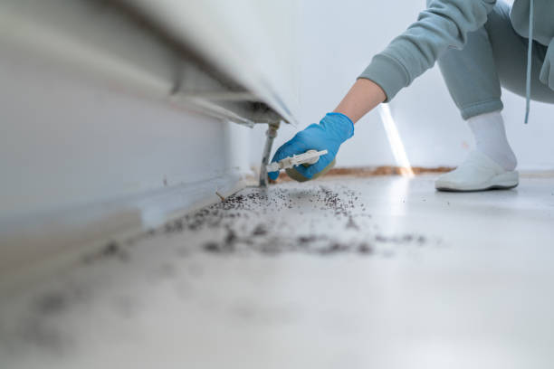 Reliable Gregory, TX Pest Control Solutions
